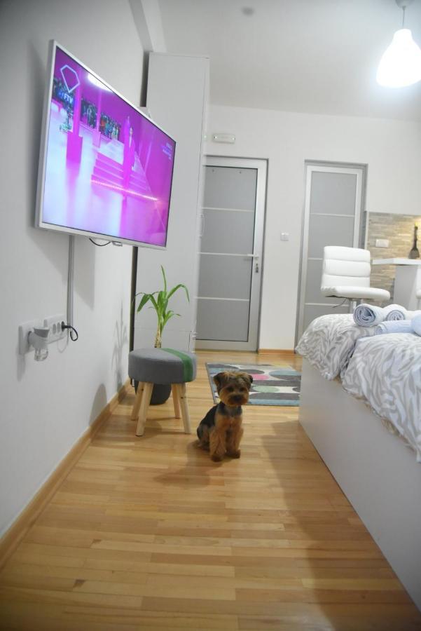 Dekart 2 Apartment Ni 外观 照片