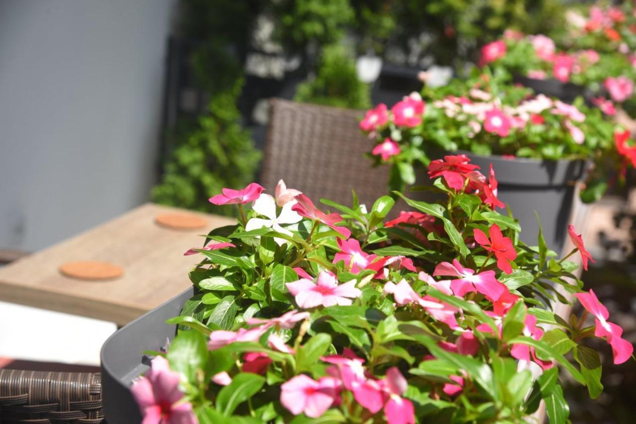 Dekart 2 Apartment Ni 外观 照片